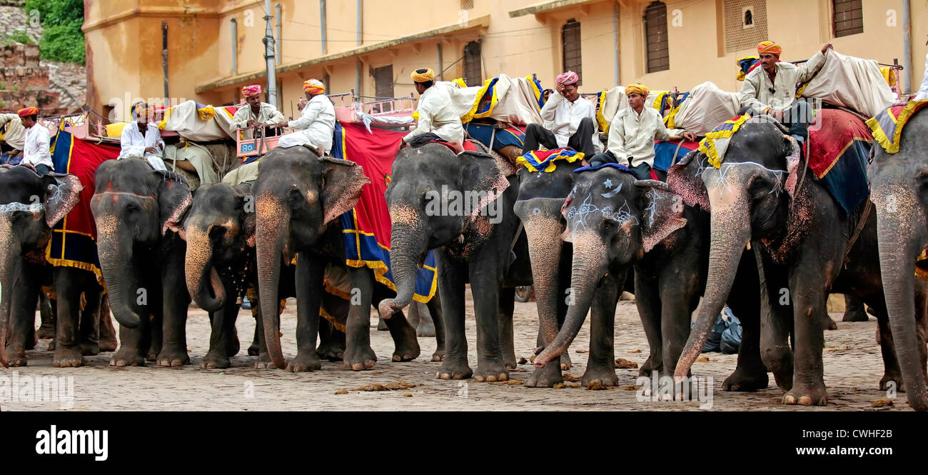 Gli elefanti e Mahouts a Forte Amber Foto Stock