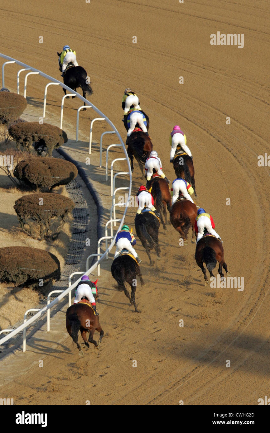 Seoul, cavalieri e cavalli sul lato sporco della pista in azione Foto Stock