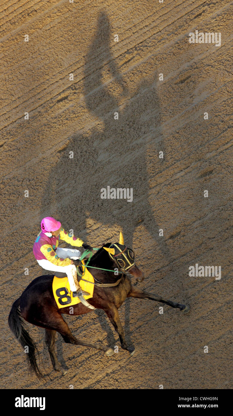 Seoul, cavallo e cavaliere sul lato sporco della pista getta un ombra Foto Stock