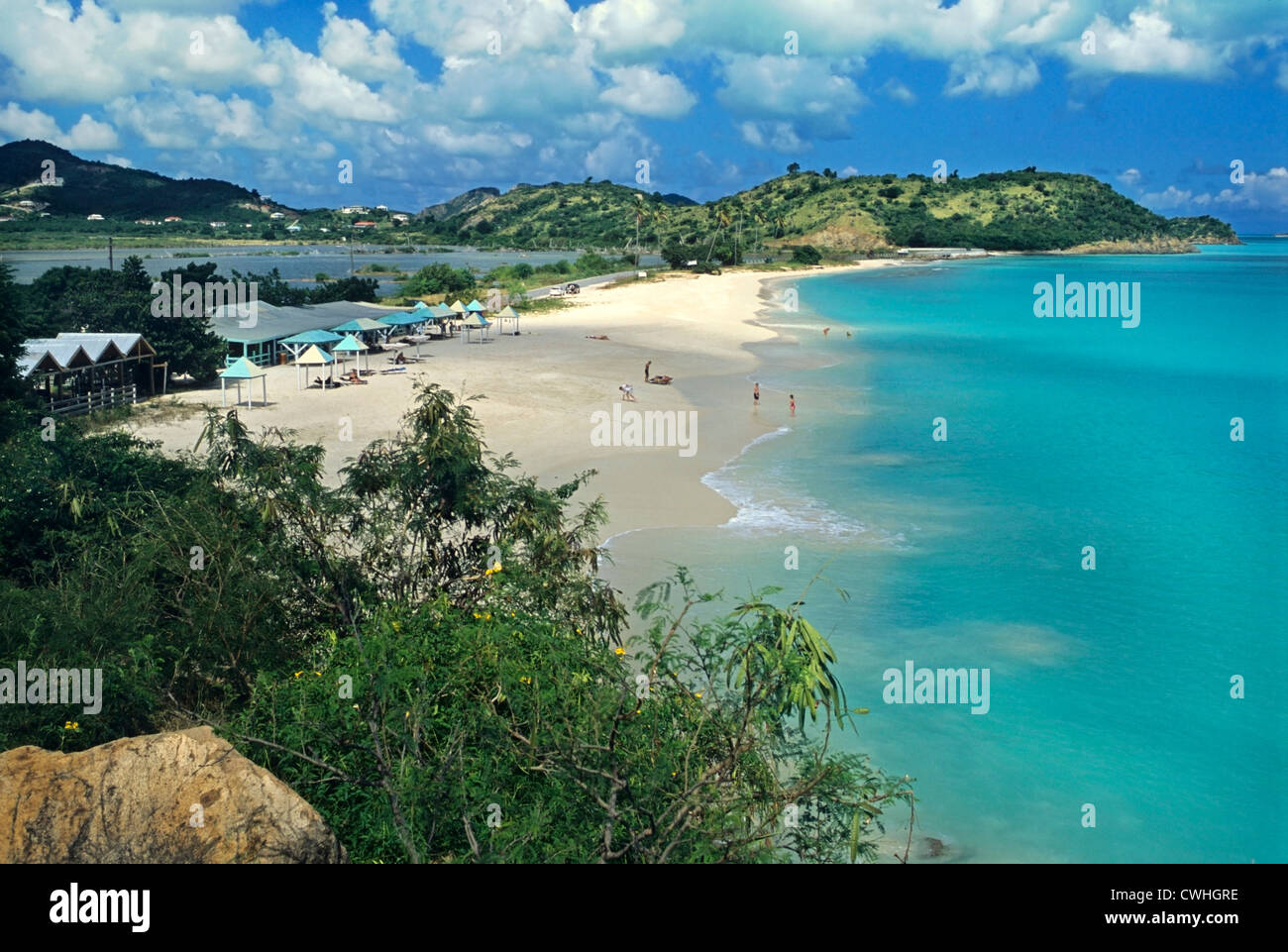 Spiaggia di legno scuro Caraibi Antigua Foto Stock