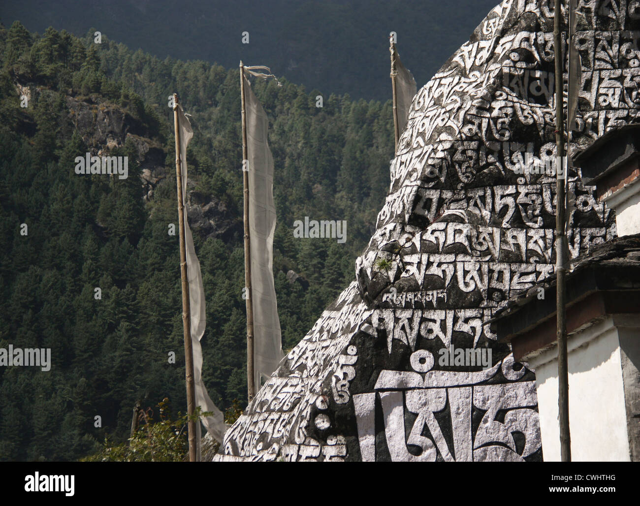 "Om mani padme hum' mantra buddista, spesso trovato scritto sulle pietre, o mani pareti nella regione di Everest, Himalaya, Nepal Foto Stock