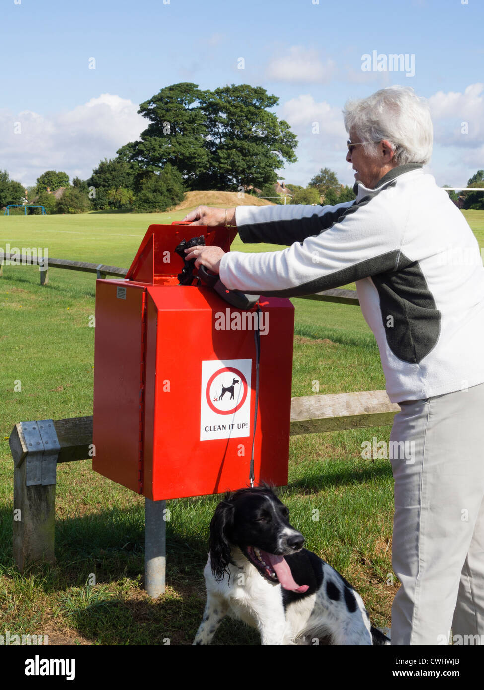 English Springer Spaniel con il proprietario mettere la sacca di Dog Poo nel bidone dei rifiuti dai campi di gioco sulla routine giornaliera a piedi in città park England Regno Unito Gran Bretagna Foto Stock