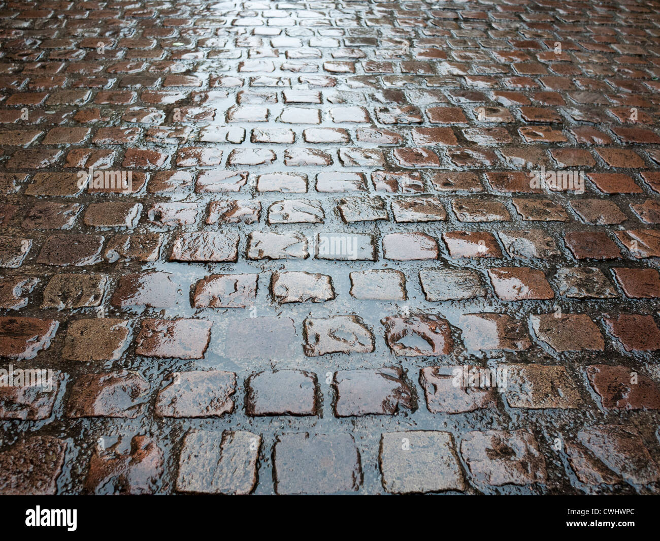 In acciottolato bagnate su una strada sotto la pioggia REGNO UNITO Foto Stock