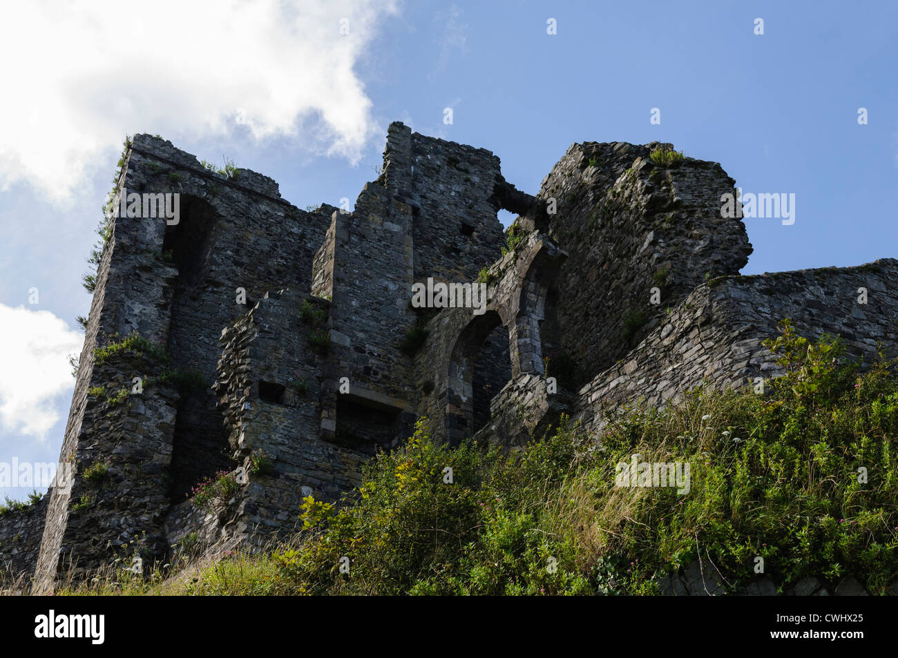 Carlingford Castle Foto Stock