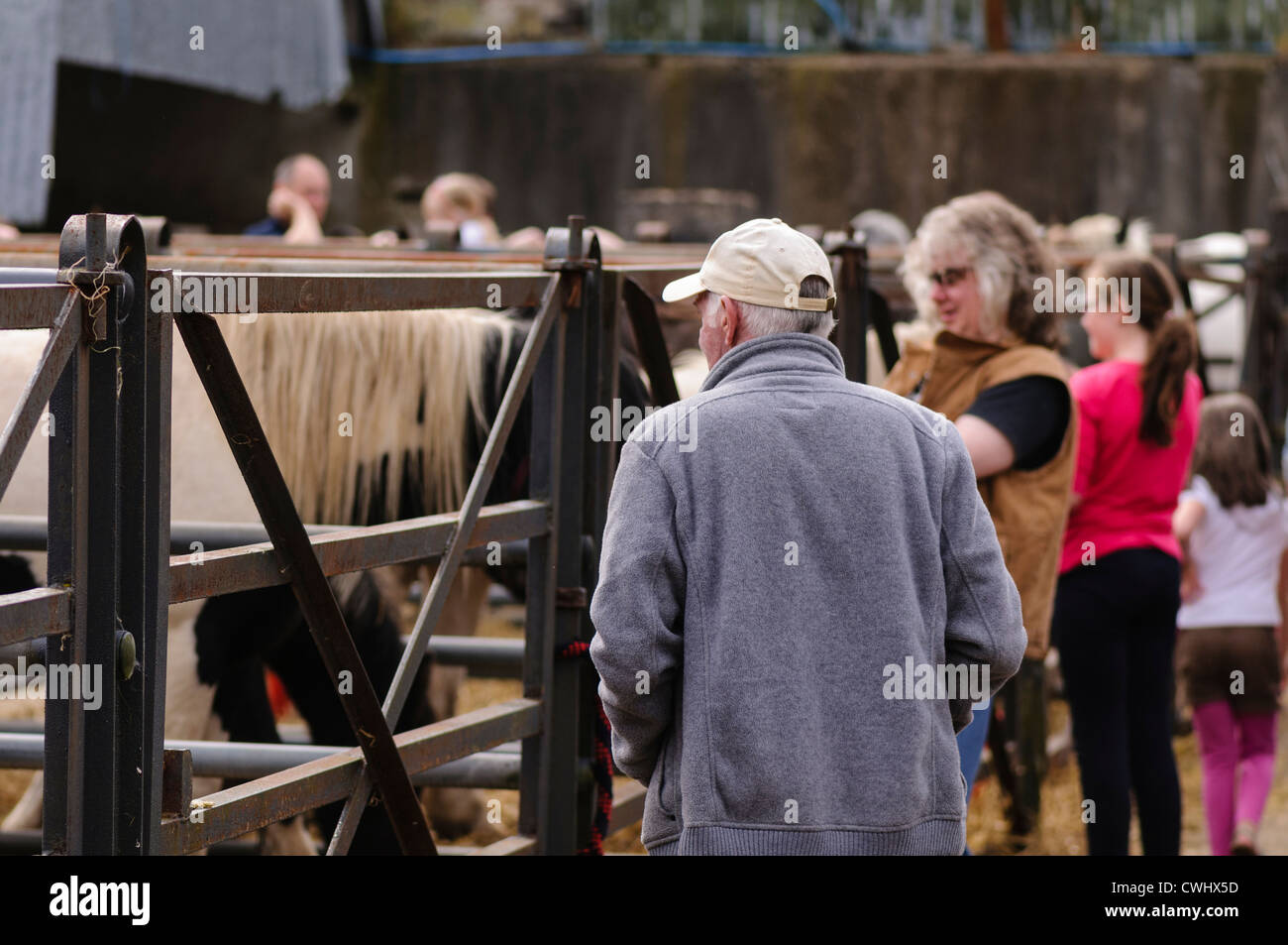 Horse trading di teh Ould Lammas Fair, Ballycastle Foto Stock