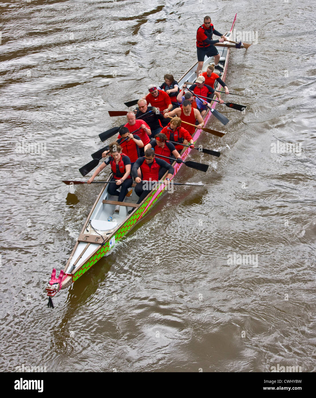 Dragon Boat team sessione di formazione pratica sul fiume Severn Worcester Worcestershire Inghilterra Europa Foto Stock