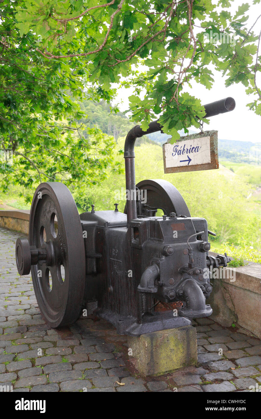 I vecchi macchinari utilizzati come decorazione in Porto Formoso tea factory. Sao Miguel island, Azzorre, Portogallo. Foto Stock