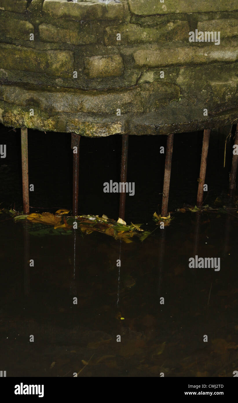 Griglia protettiva su scarico sul fiume idle Kings Park,Retford, Nottinghamshire, England, Regno Unito Foto Stock