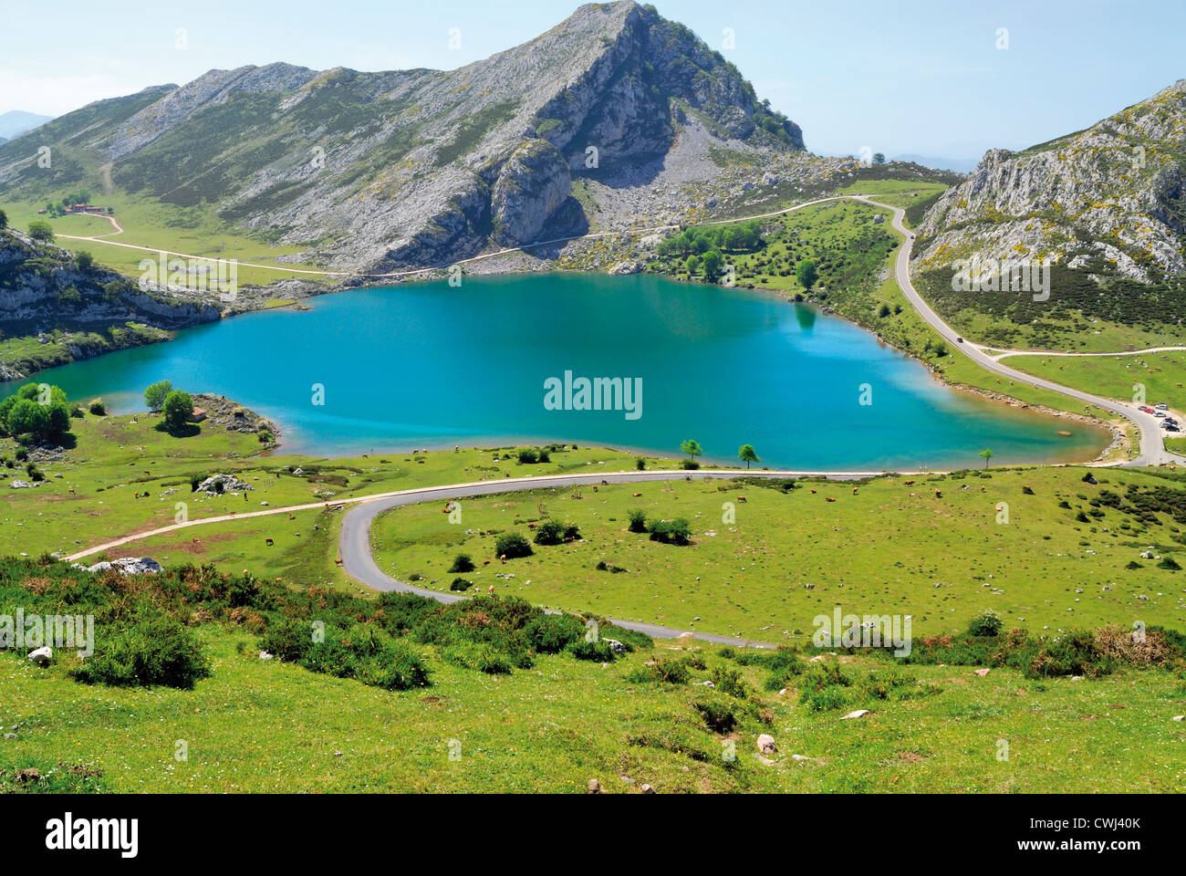 Spagna Asturie: Lago Enol in Nationalpark Picos de Europa Foto Stock