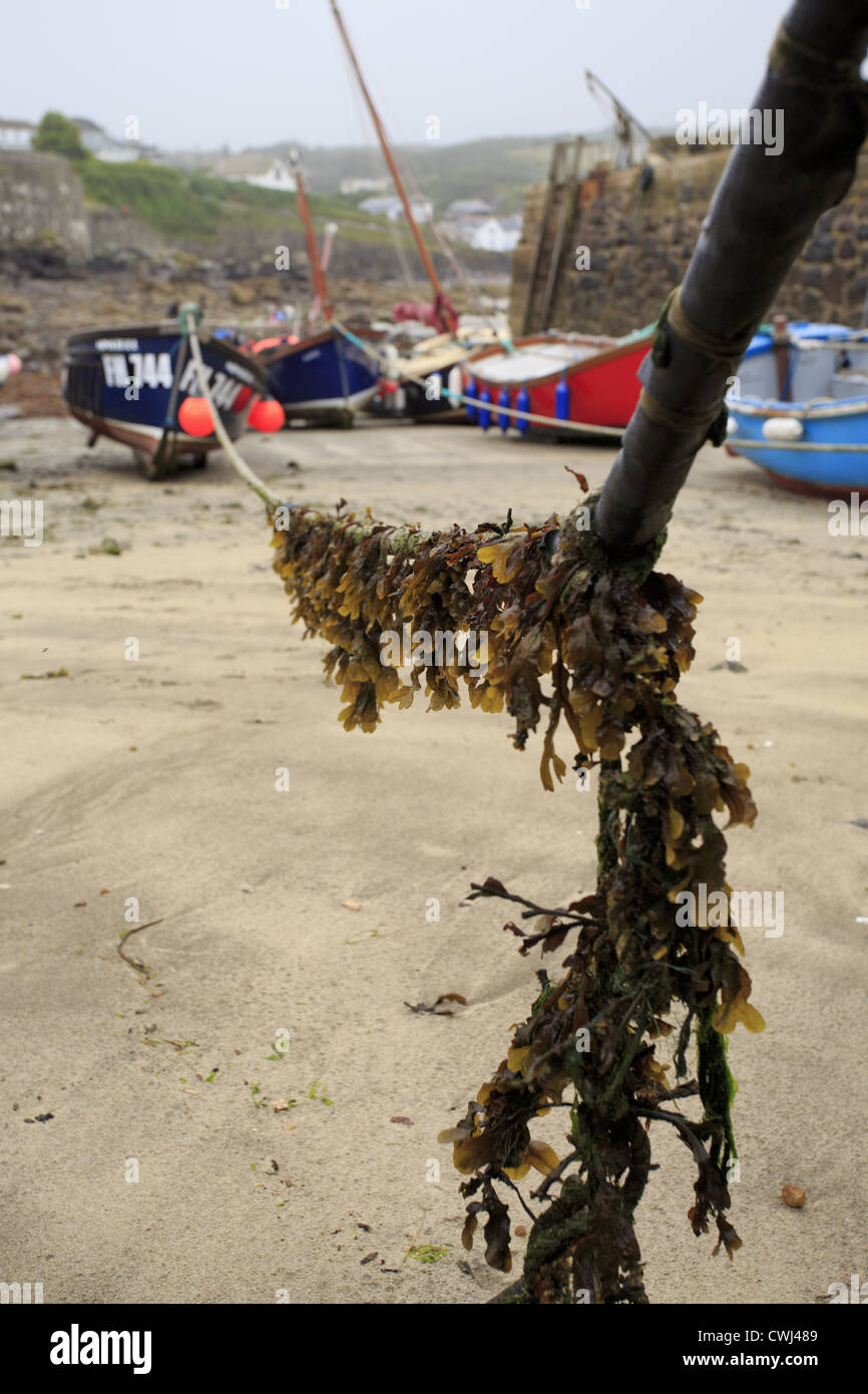 Le alghe coperto corda con barche da pesca a distanza Foto Stock