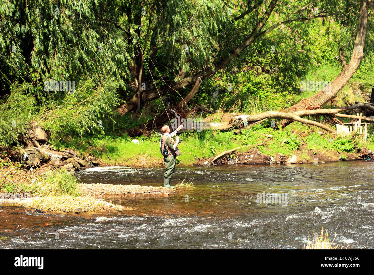 Pesca alla trota sul fiume Calder Foto Stock