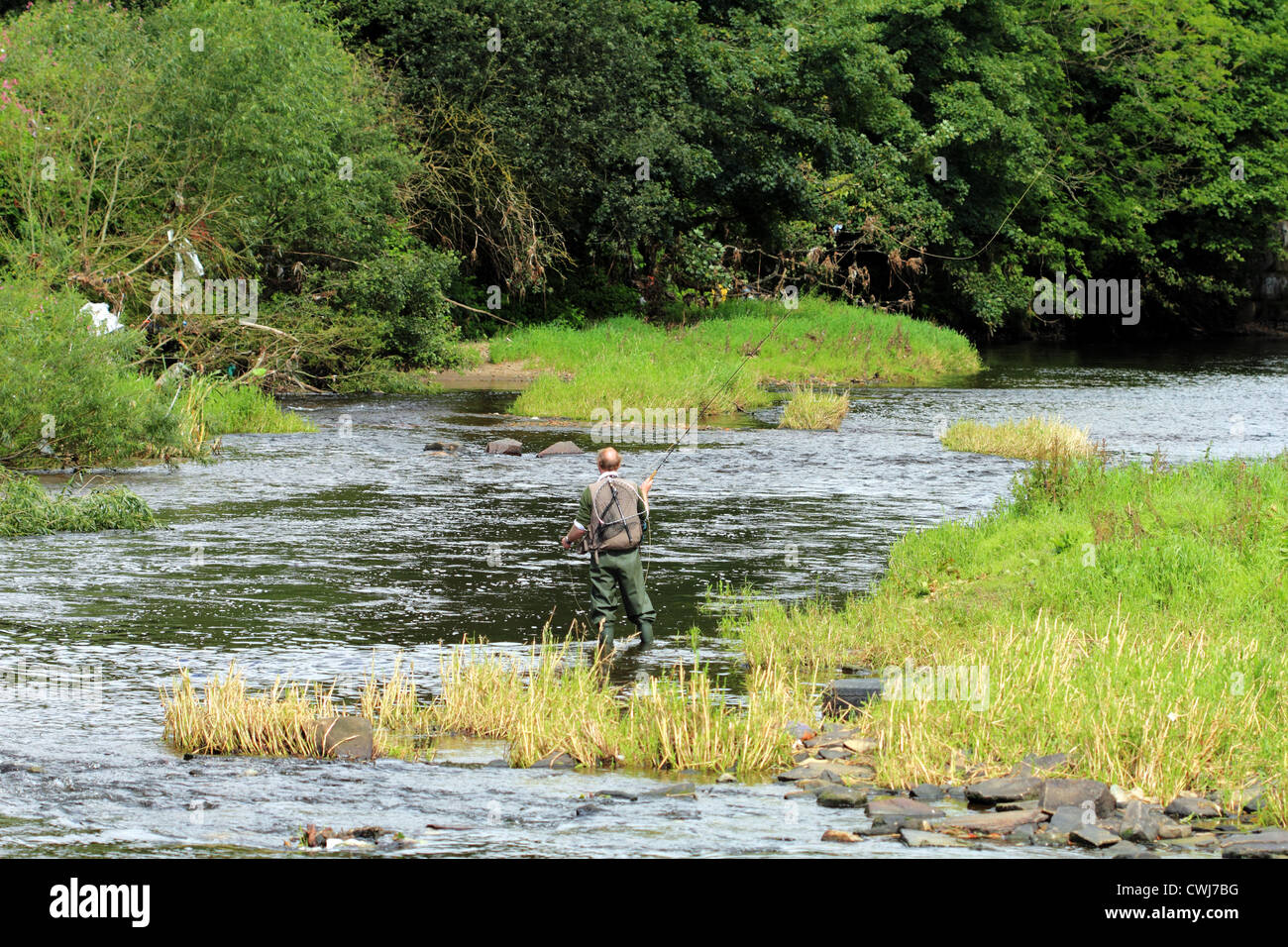 Pesca alla trota sul fiume Calder Foto Stock