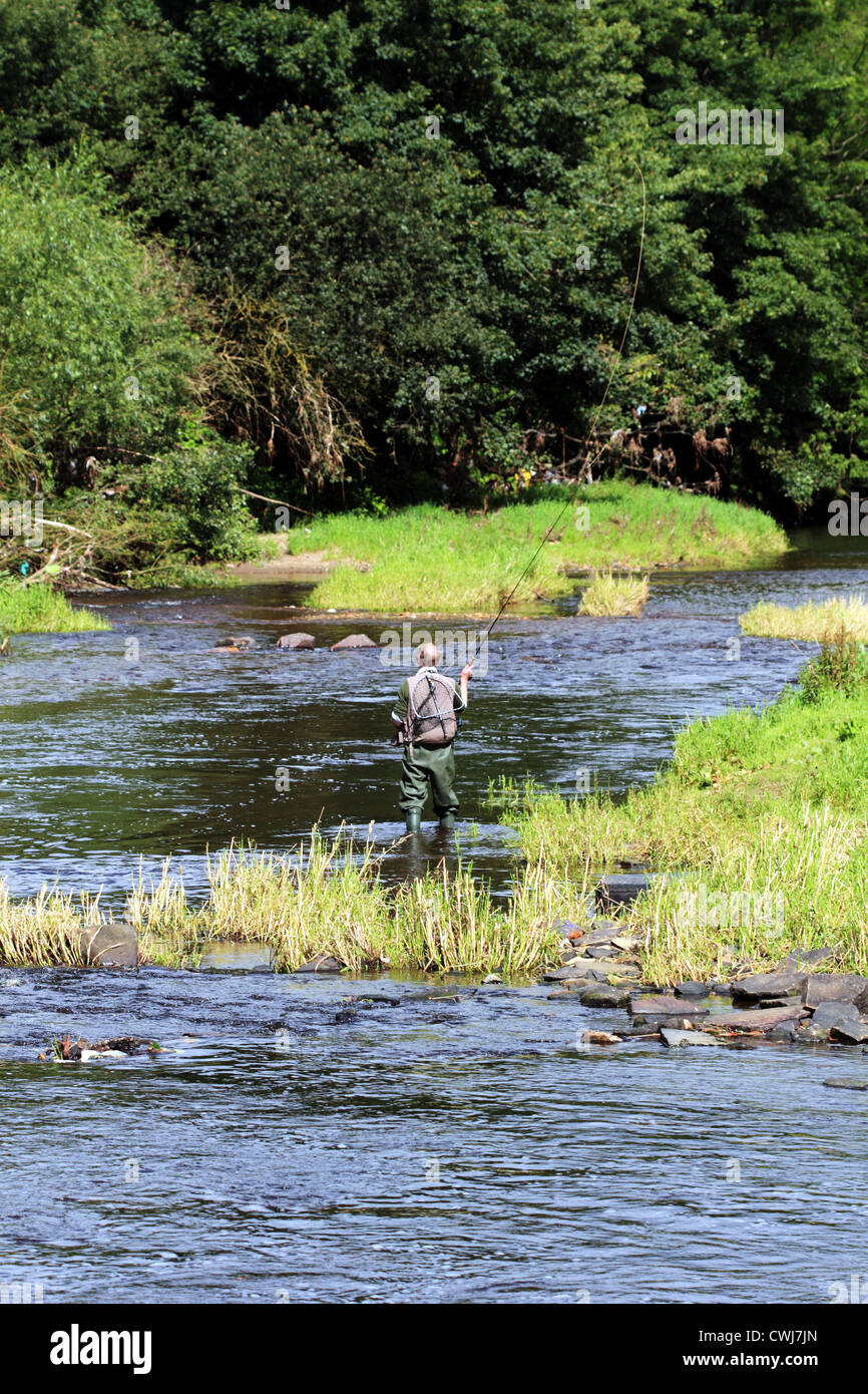 Pesca alla trota sul fiume Calder Foto Stock