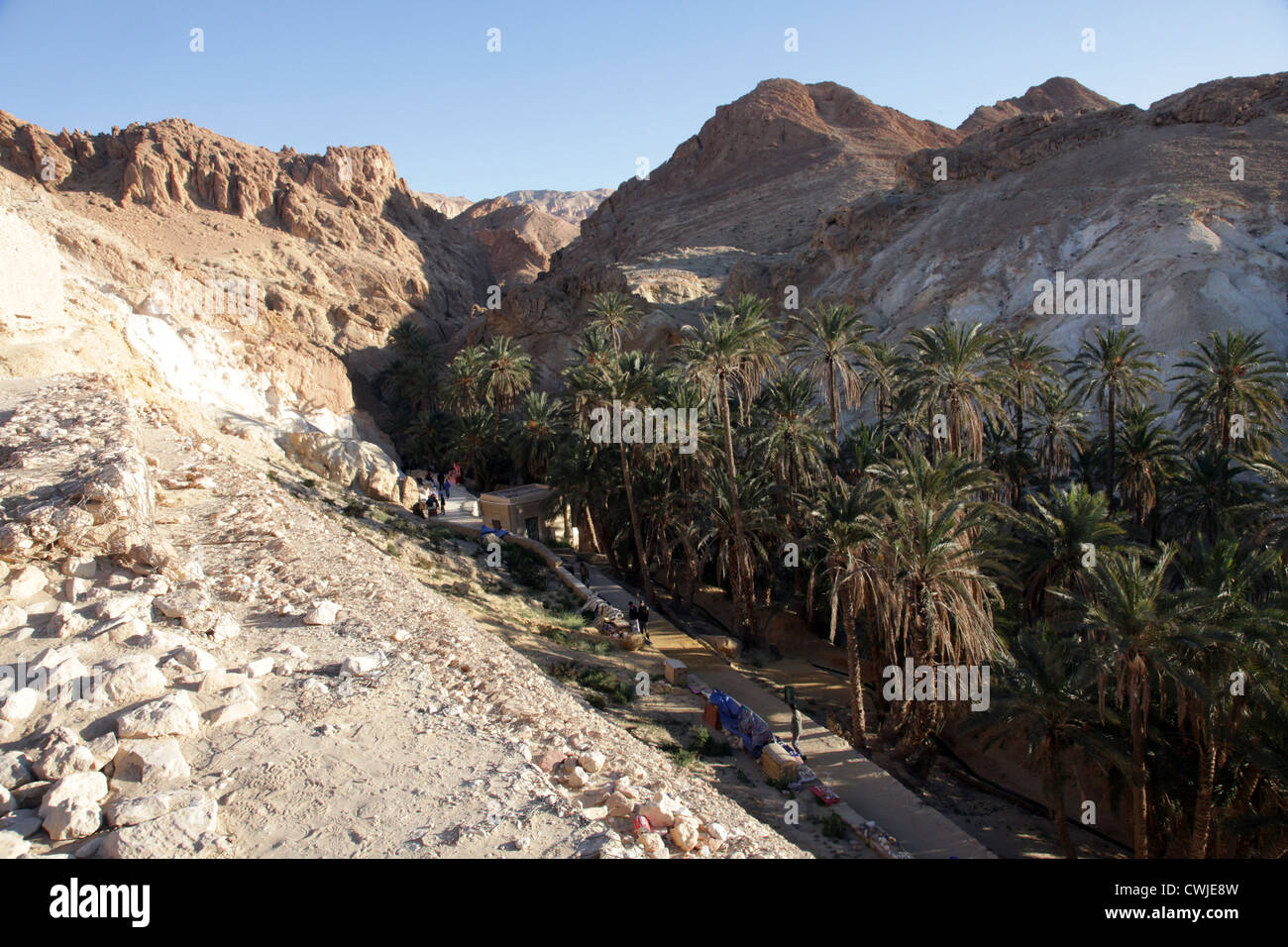 Oasi di montagna Chebika alla frontiera del Sahara in Tunisia Foto Stock