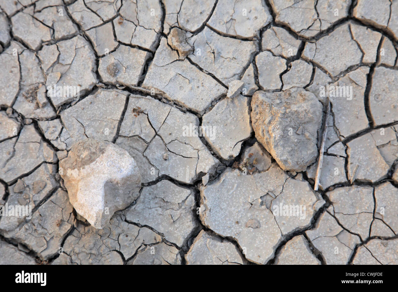 Terra incrinata Foto Stock