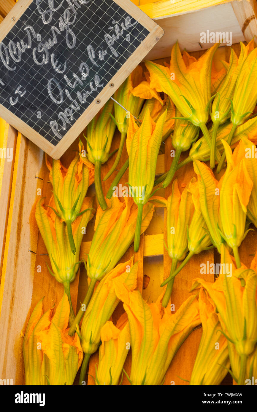 Fiori di zucca in vendita nel mercato in Apt Provence Francia Foto Stock