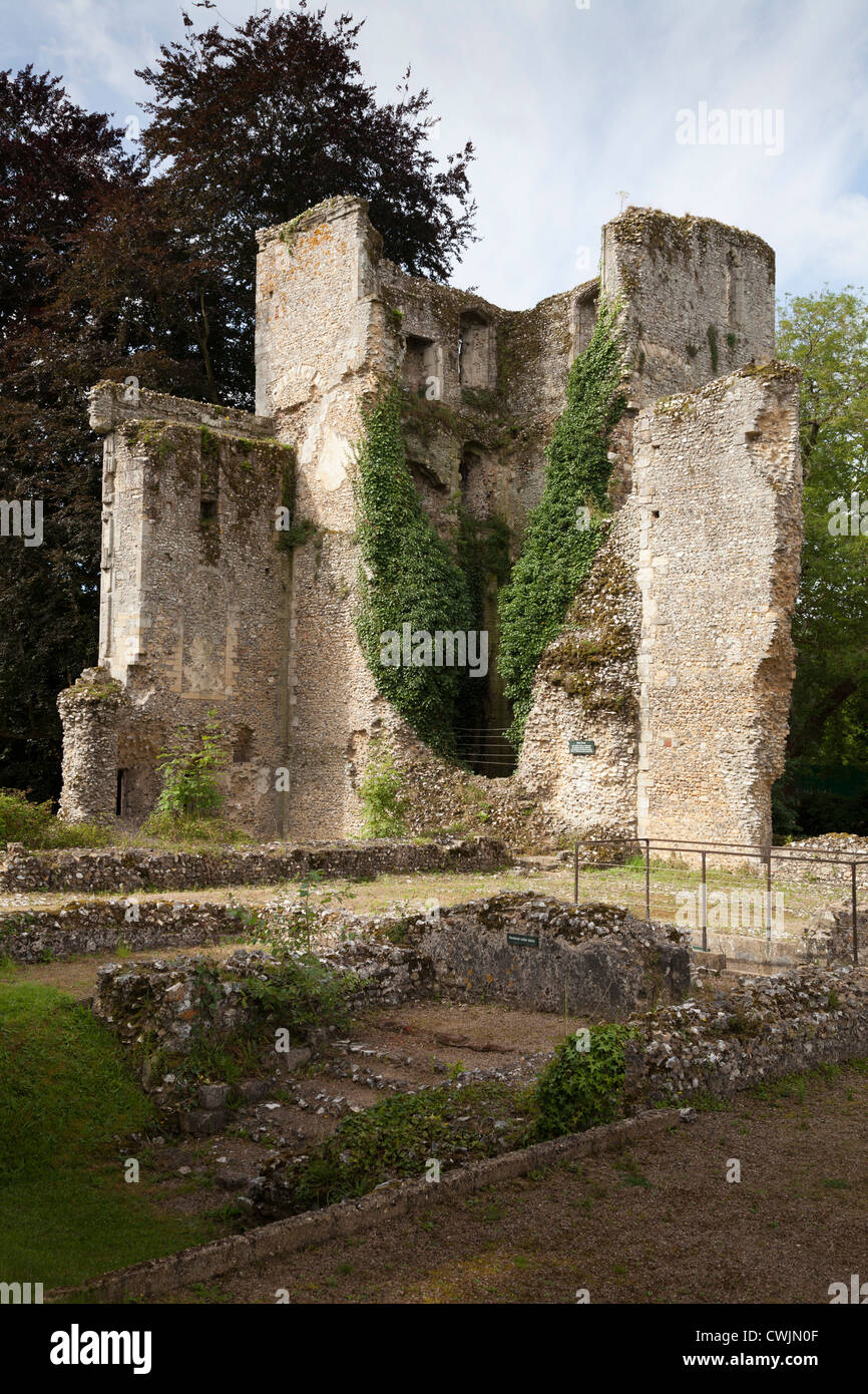 La rovina medievale del Vescovo di Waltham Palace in Hampshire Foto Stock