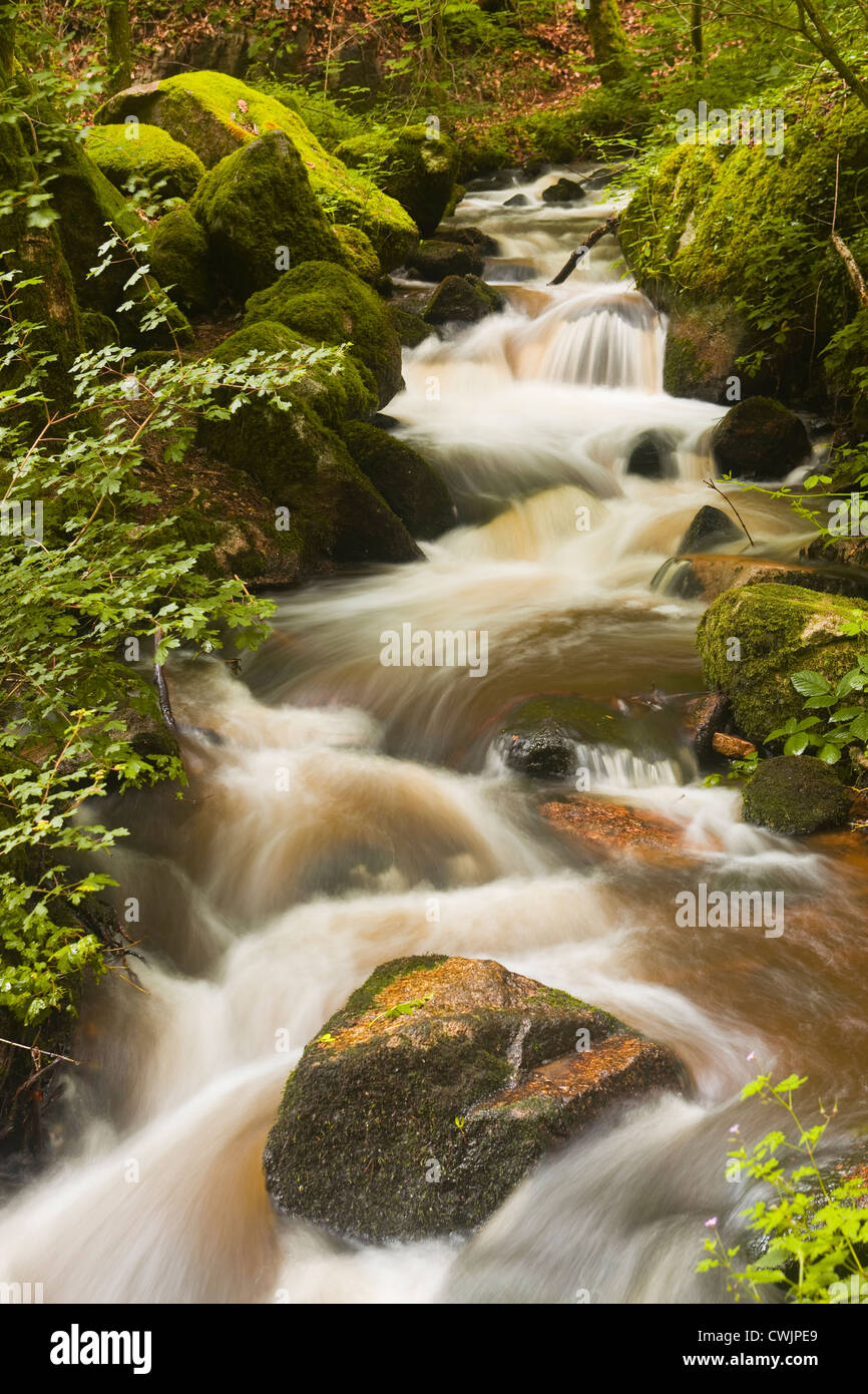 La Gorges de Narvau nel Morvan area della Francia. Foto Stock