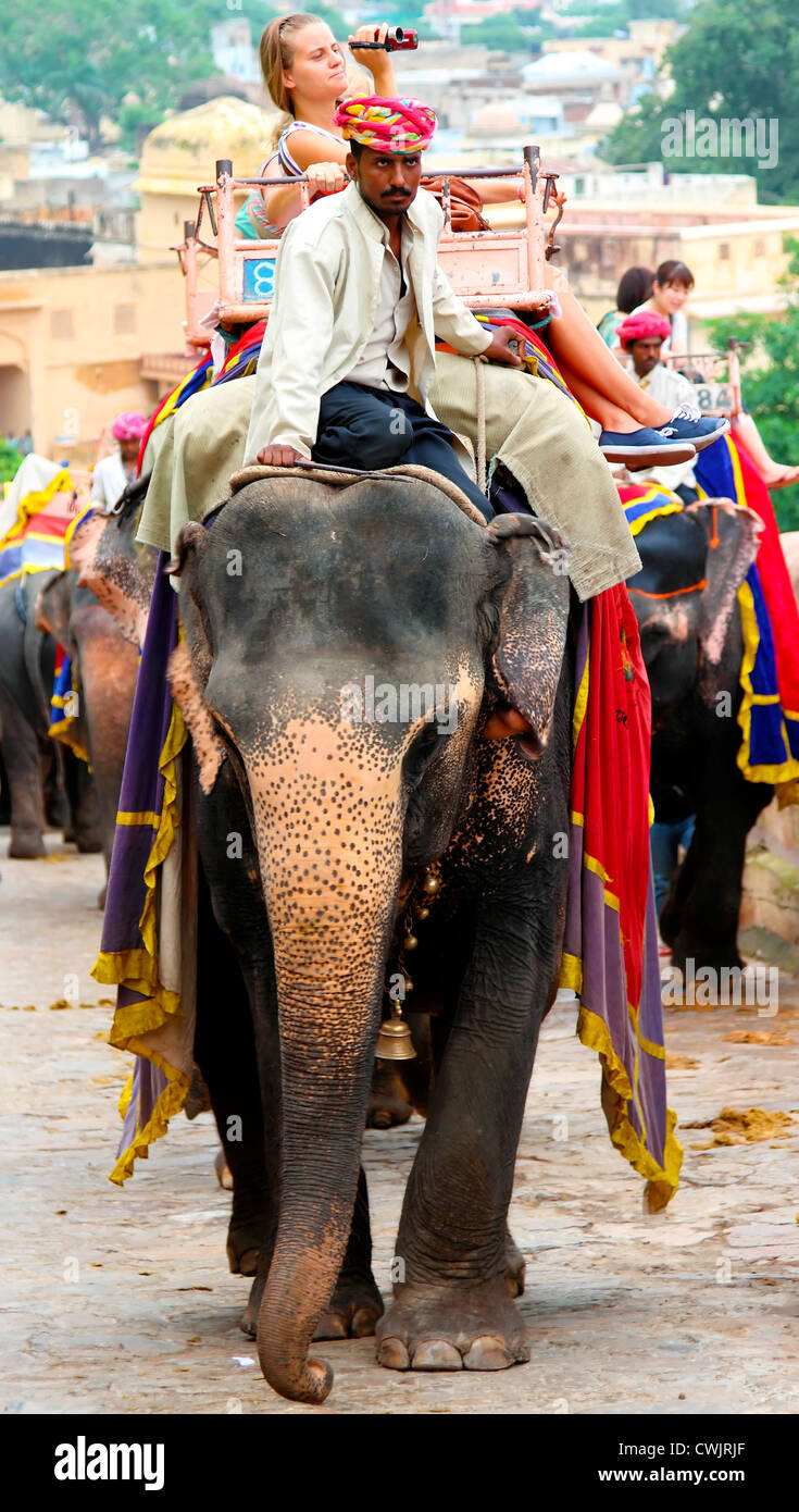 Gli elefanti e mahouts tenendo i turisti fino al forte amber vicino a Jaipur, India Foto Stock