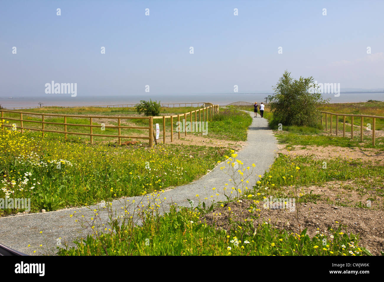 La fauna la passerella a Upcross Natura Park Thurrock Foto Stock