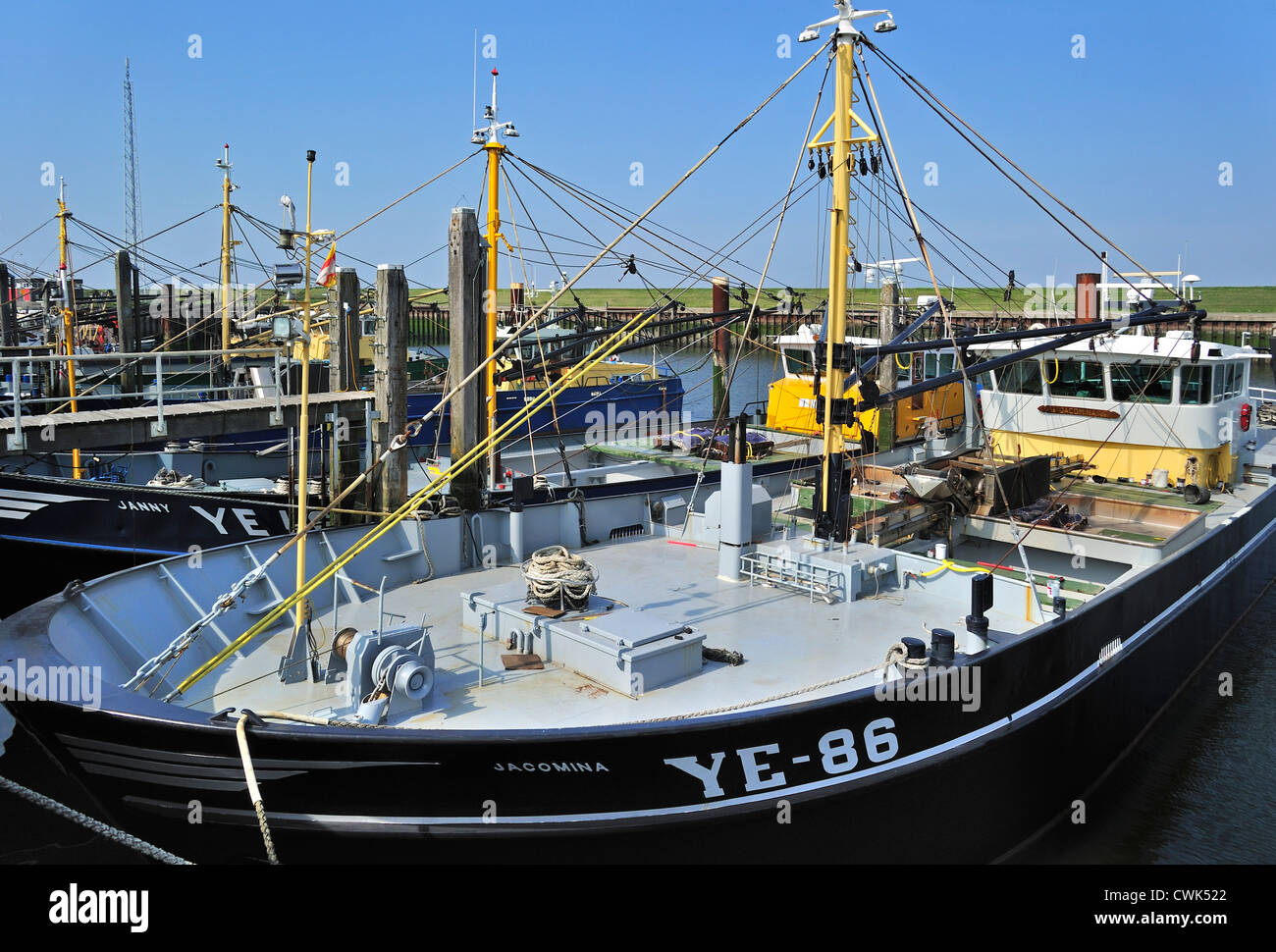 Barca da pesca / cozza cutter in porto di Yerseke lungo la Oosterschelde / Schelda Orientale, Zelanda, Paesi Bassi Foto Stock