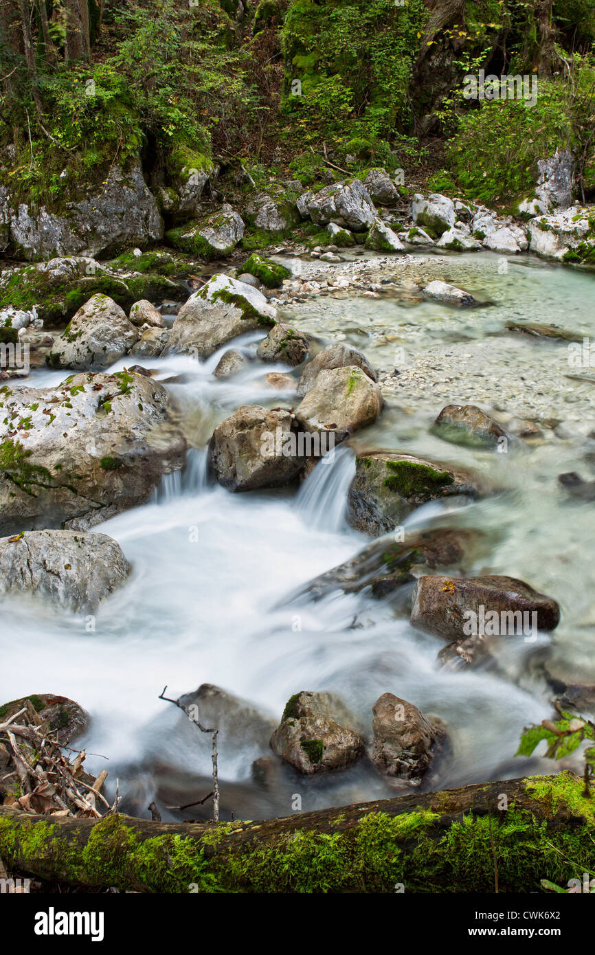 Creek in zauberwald, ramsau / Berchtesgaden, Germania, Europa Foto Stock