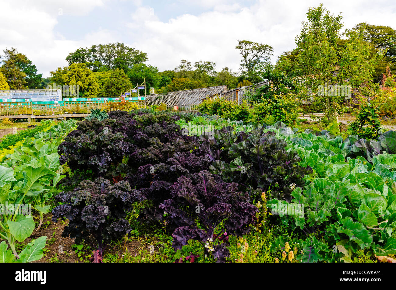 Un orto e un giardino di frutta crescere le piante sane delimitata da obsoleti case di vetro e una moderna serra Foto Stock