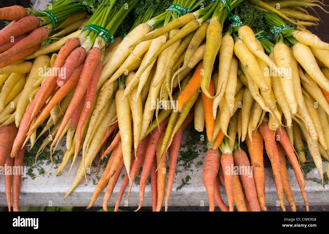 Produzione biologica di giallo e arancione carote per la vendita presso la Union Square Mercato in New York Foto Stock