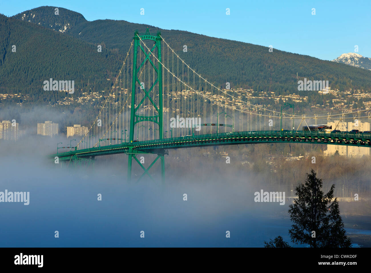 Canada, British Columbia, Vancouver, Stanley Park, parte della Porta del Leone ponte con strato marino nebbia in laminazione Foto Stock