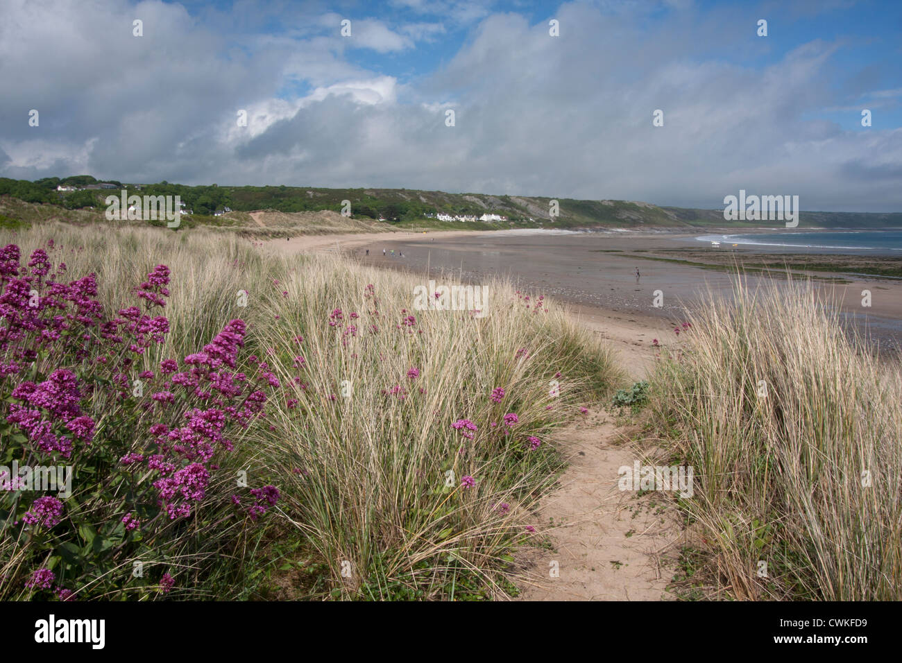 La spiaggia di Port Eynon, Penisola di Gower, Galles del Sud Foto Stock