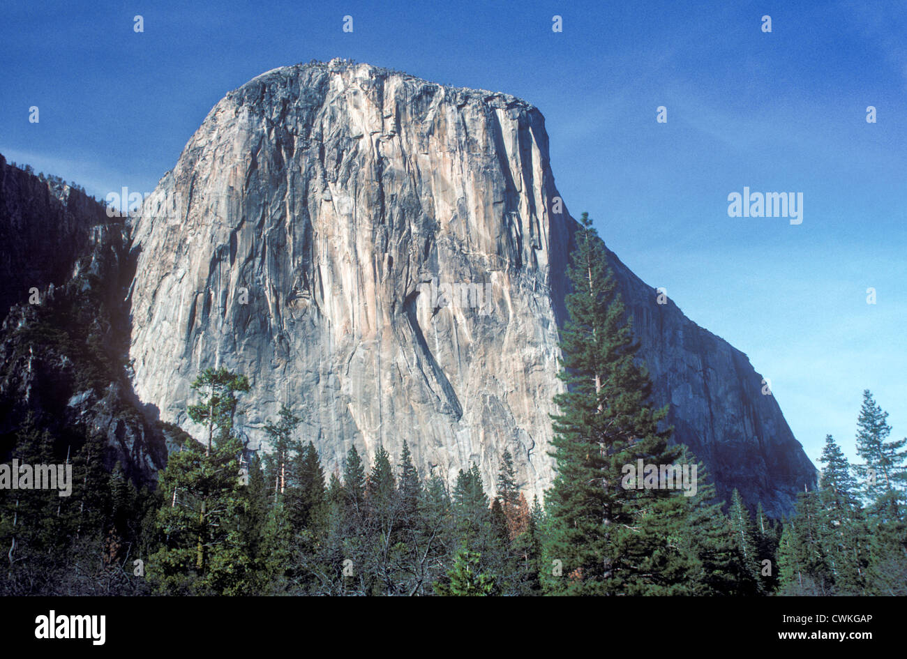 Una vista di El Capitan in Yosemite National Park, California, Stati Uniti d'America. Foto Stock