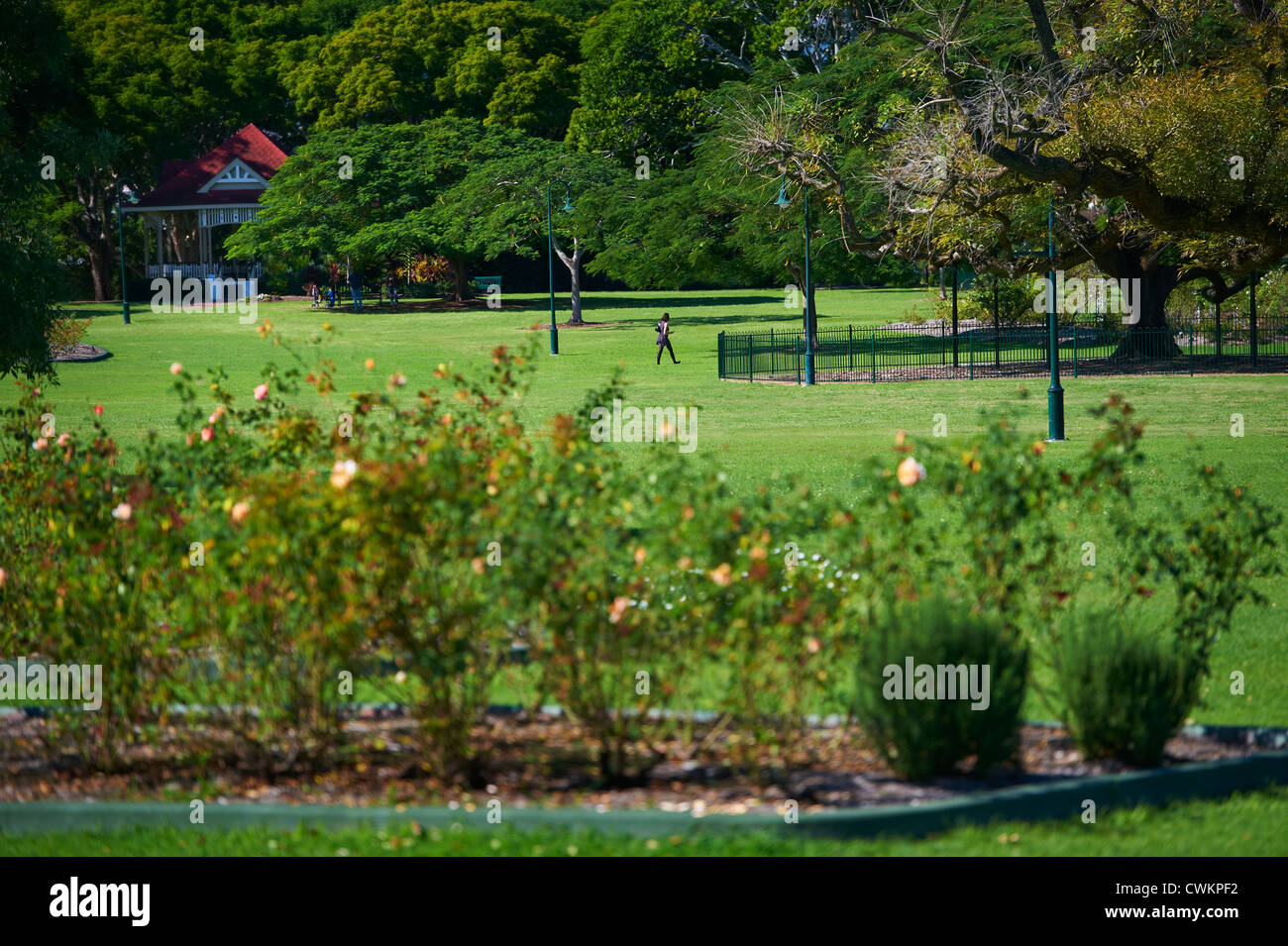 Nuova Farm Park, Brisbane Queensland Australia Foto Stock