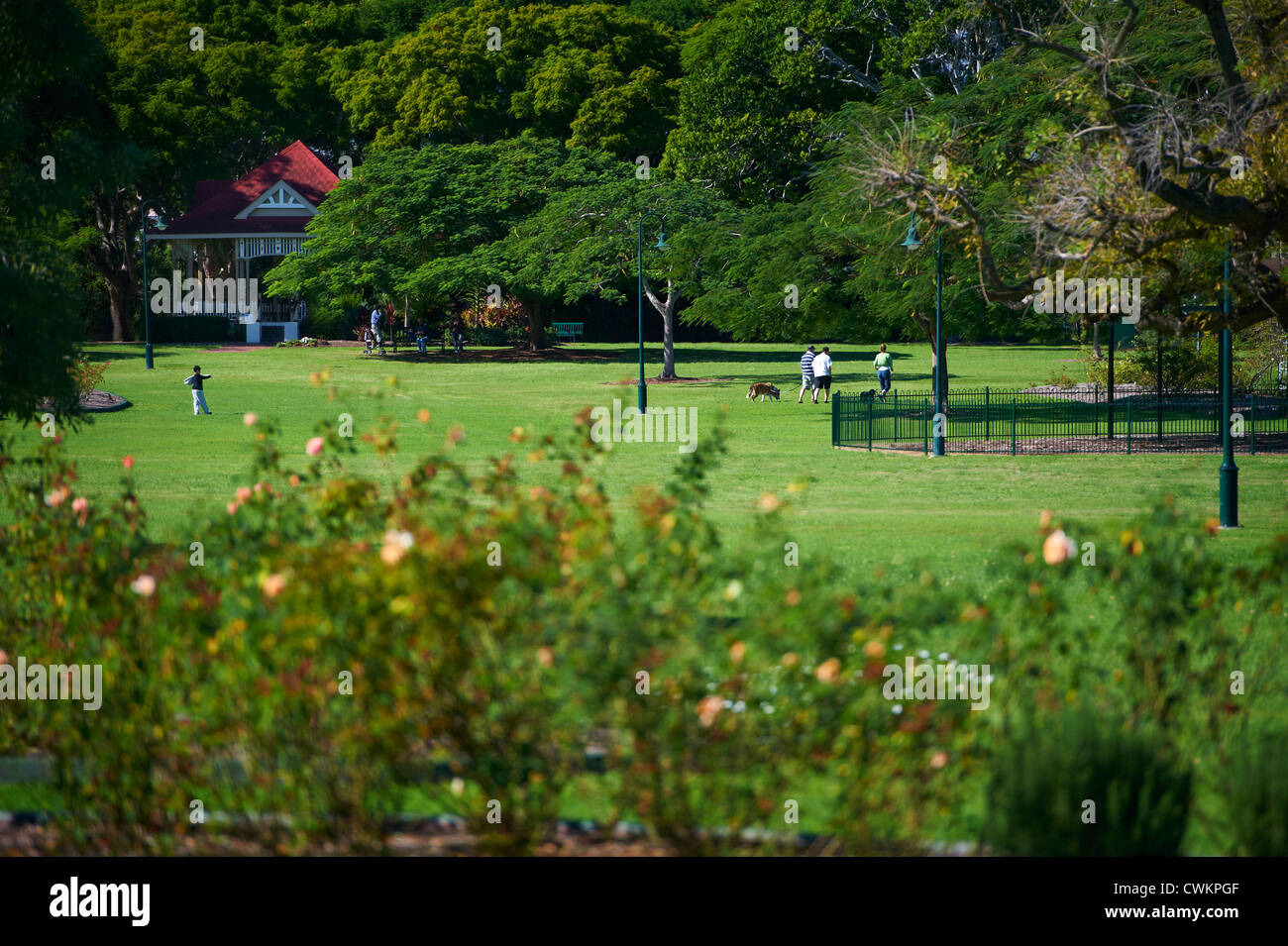 Nuova Farm Park, Brisbane Queensland Australia Foto Stock