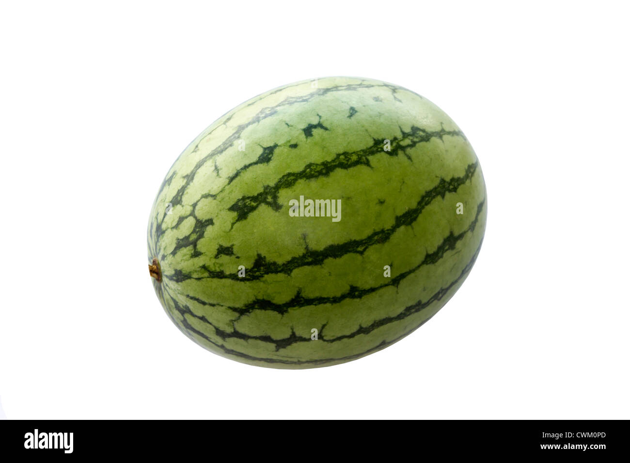 Anguria fresco isolato su sfondo bianco Foto Stock