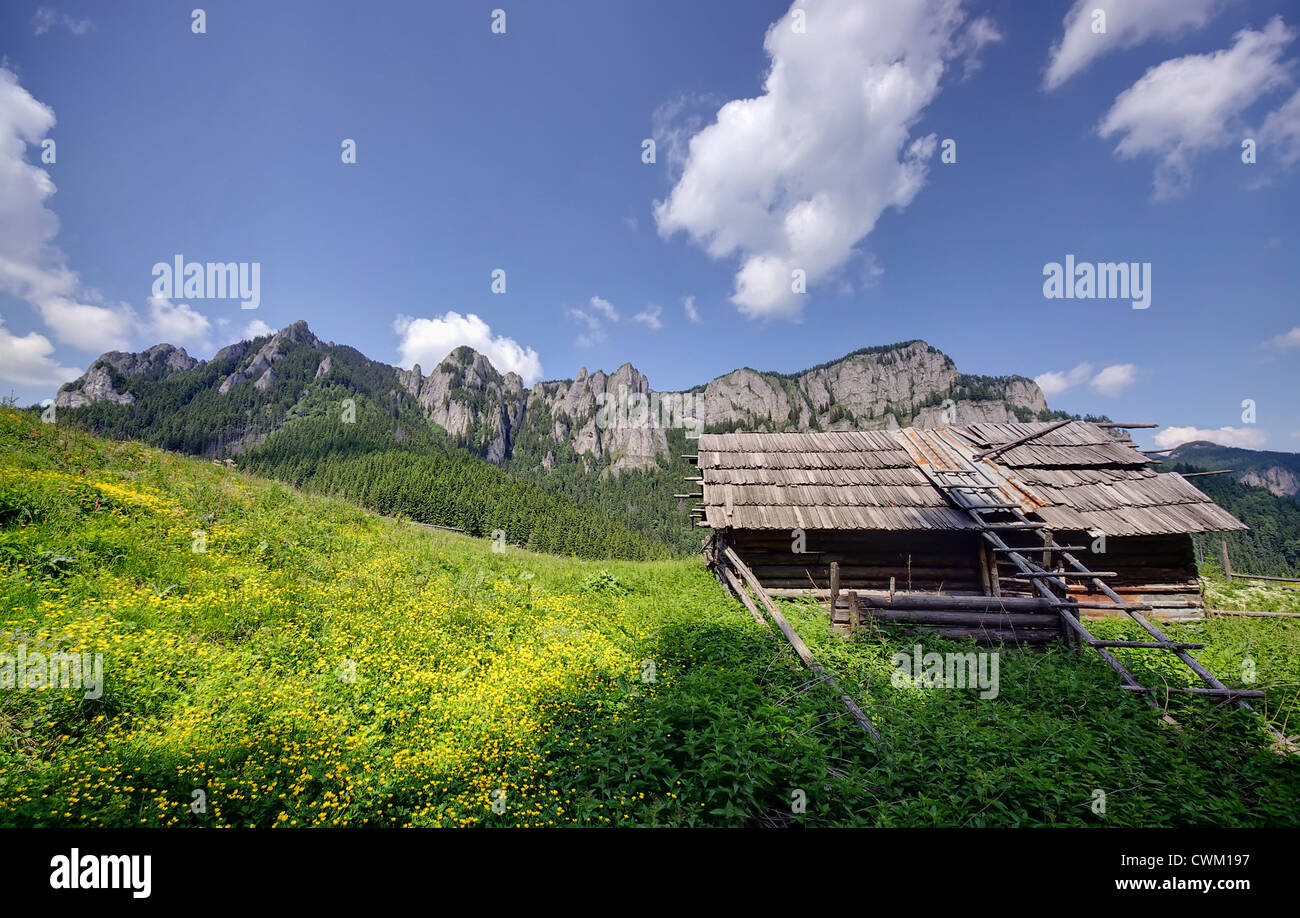 Villaggio paesaggio di montagna in estate, Carpazi romeni Foto Stock