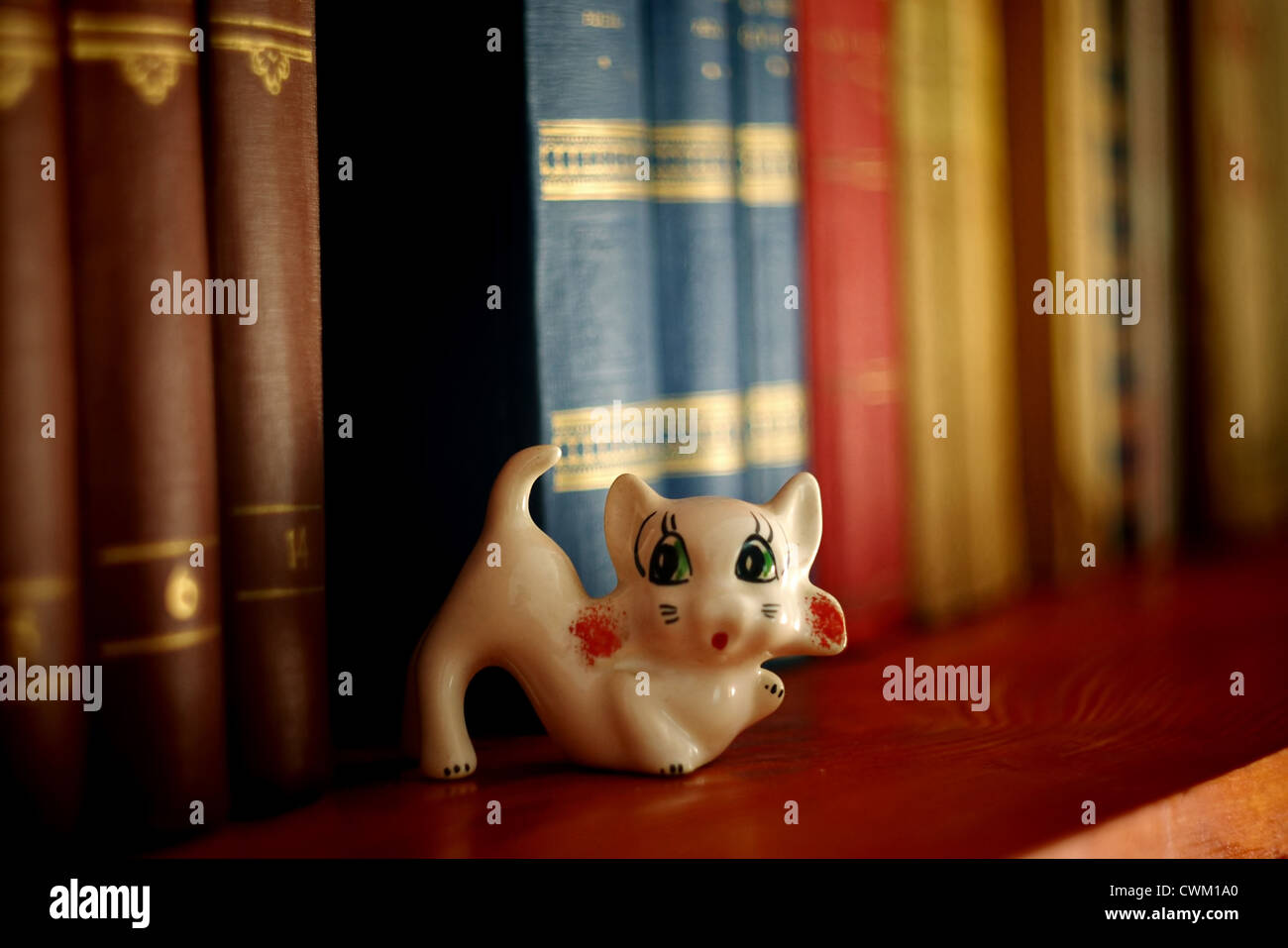 Cute cat gingillo in biblioteca libri Foto Stock