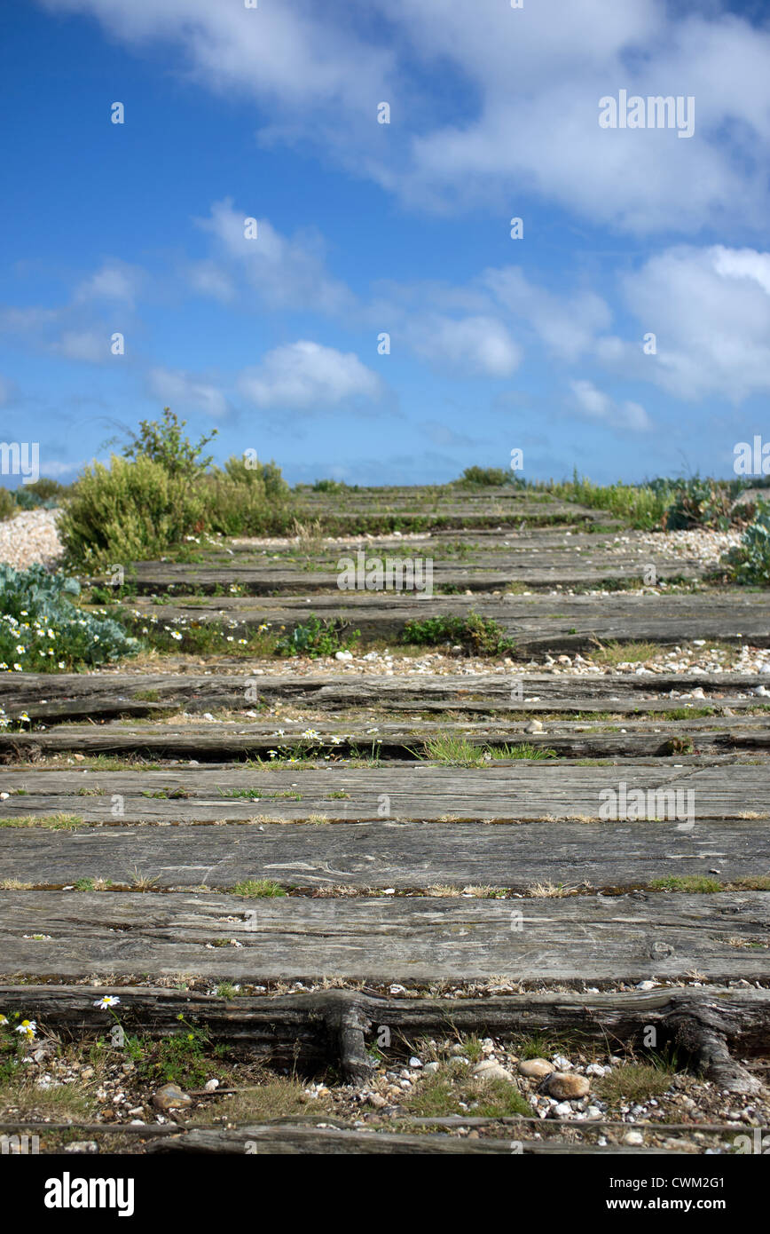 Le vecchie traverse ferroviarie in legno sulla spiaggia di Porto Pagham Riserva Naturale West Sussex Foto Stock