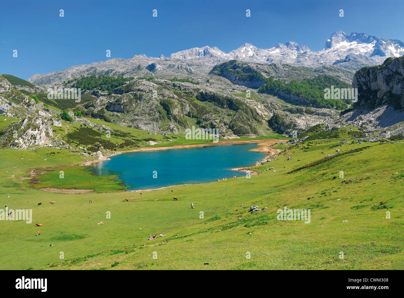 Spagna Asturie: Lago Ercina in Nationalpark Picos de Europa Foto Stock