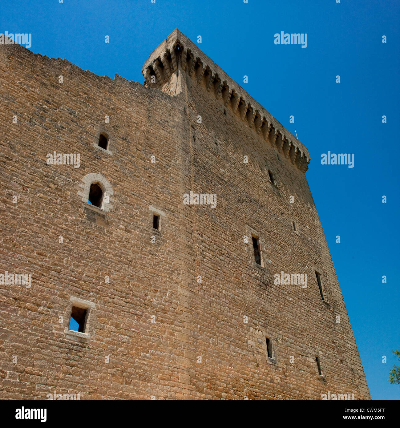 Le rovine del castello a Chateauneuf du Pape nella Vaucluse Provence, Francia meridionale Foto Stock