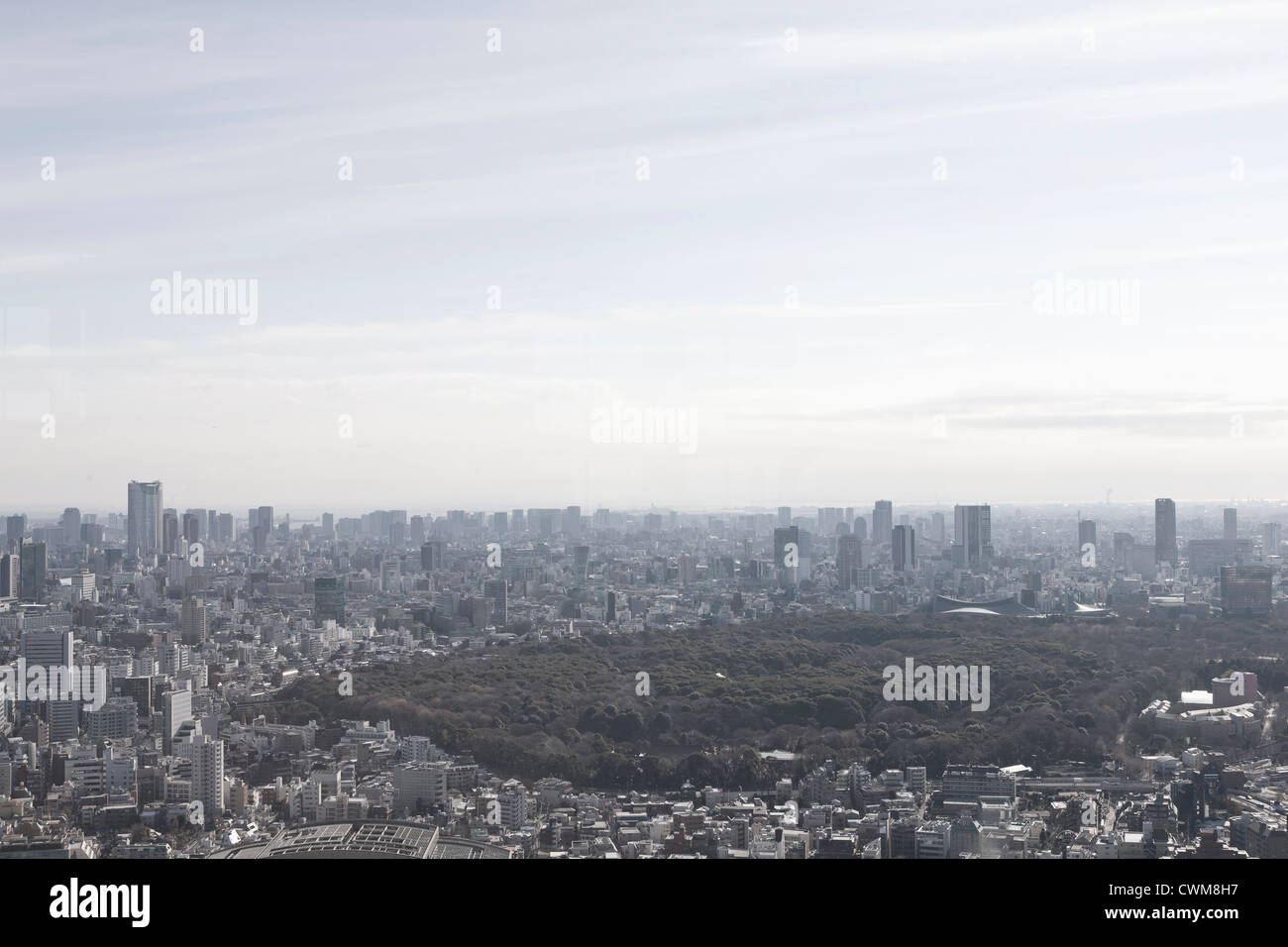 Giappone, Tokyo, vista dello skyline della città Foto Stock