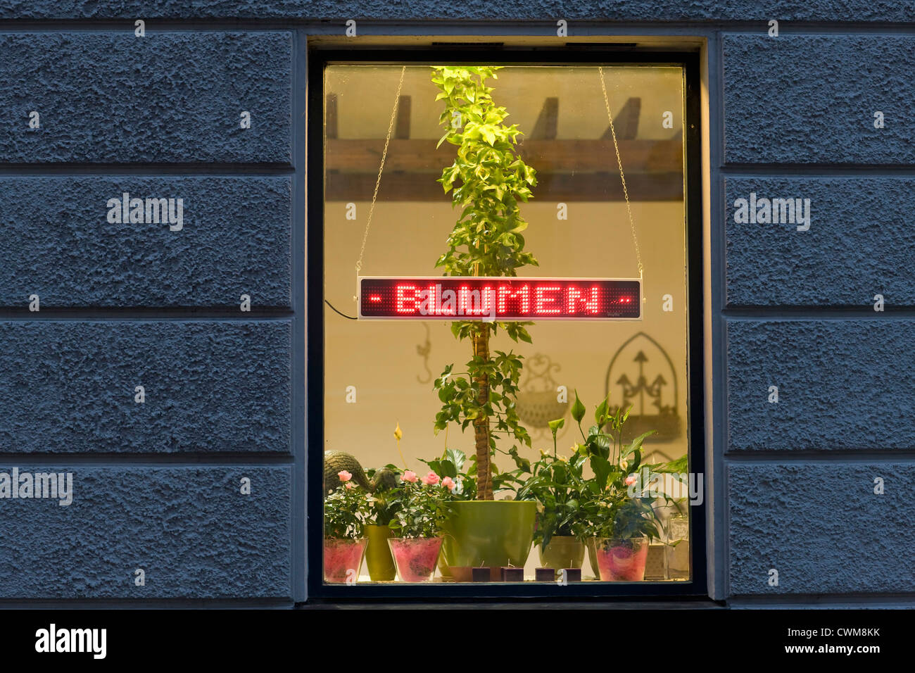 Germania - Monaco, finestra di negozio di fiori Foto Stock