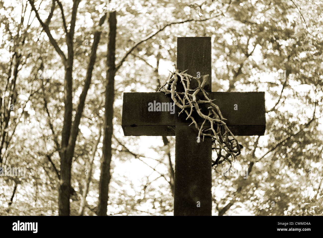 Croce e spine sul background del cimitero Foto Stock