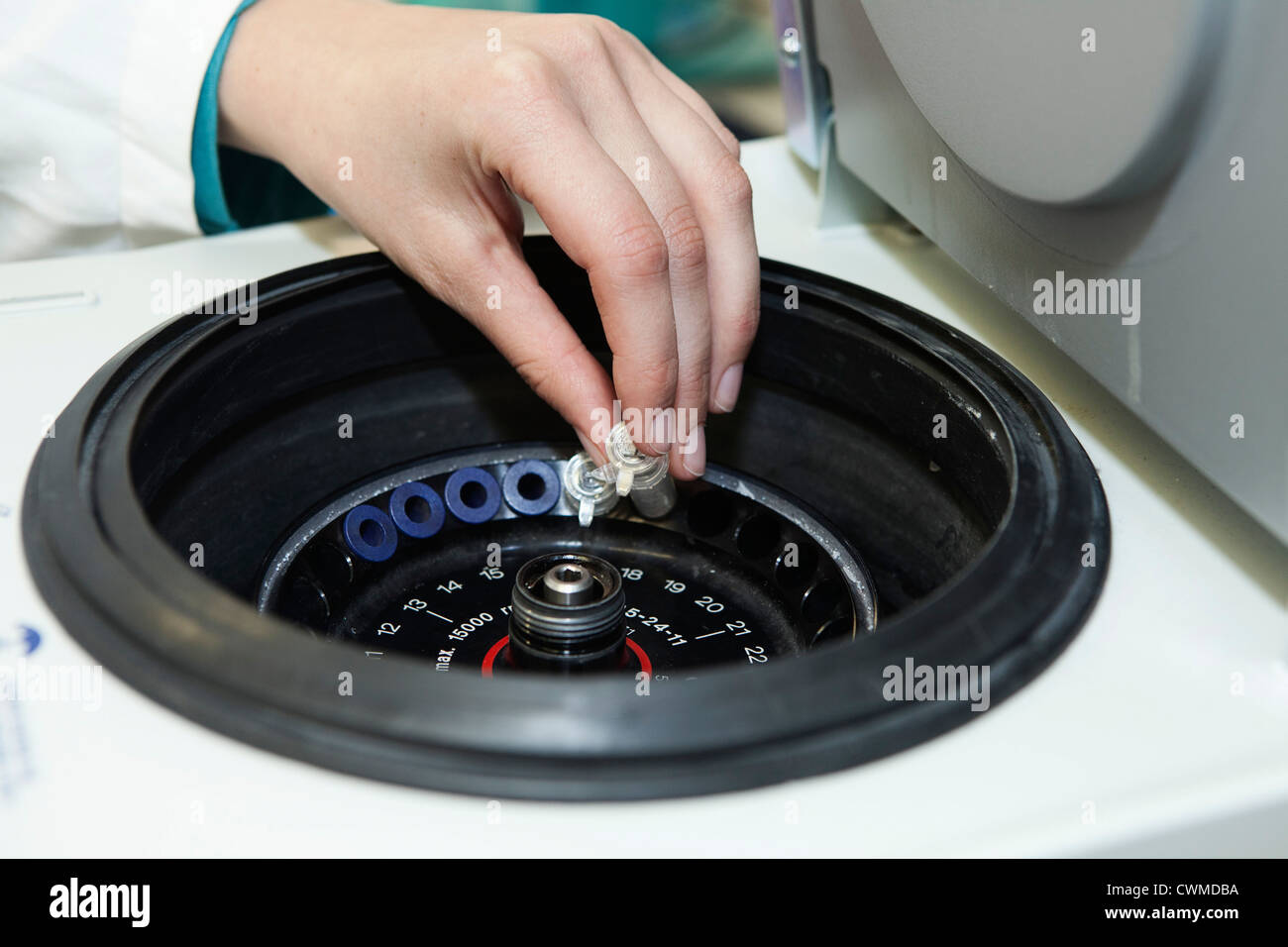 In Germania, in Baviera, Monaco di Baviera, mano umana test di caricamento di tubi in centrifuga di piccole dimensioni Foto Stock