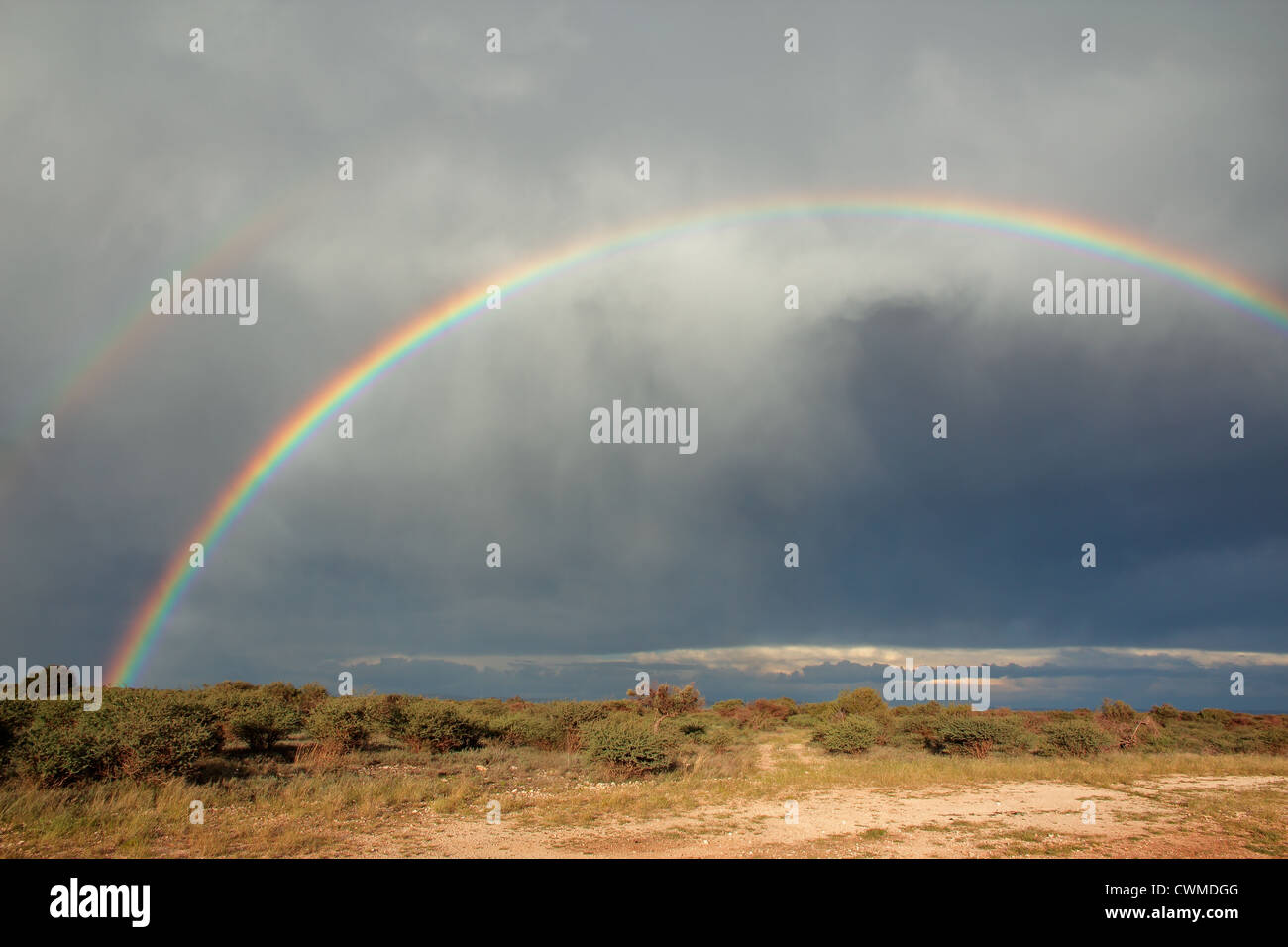 Paesaggio rurale con un arcobaleno colorato e pioggia nuvole, Sud Africa Foto Stock