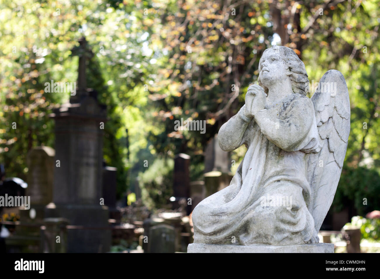 Antica statua angelo sul cimitero di Varsavia Foto Stock