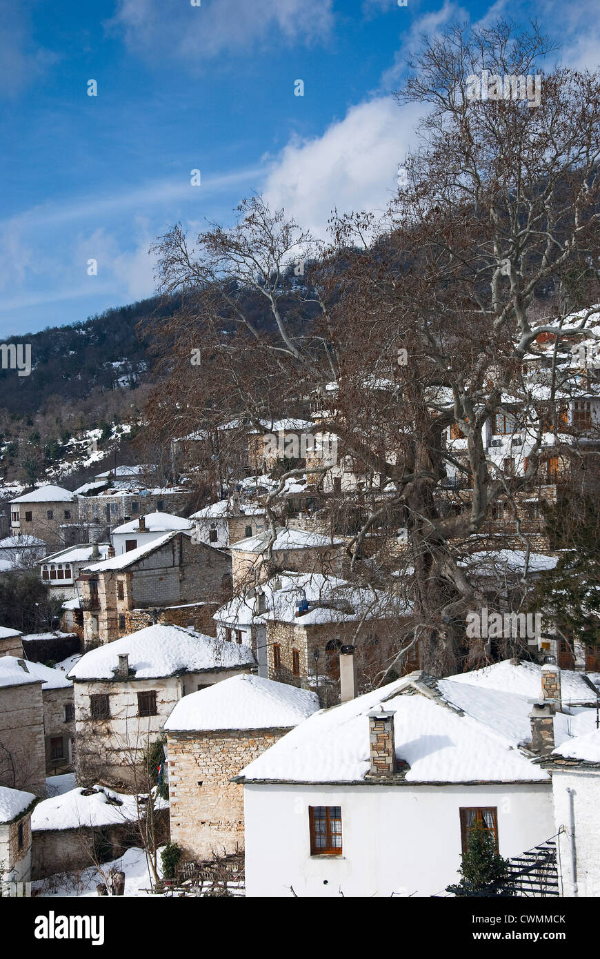 Villaggio di montagna Pinakates con case incappucciate di neve in inverno (Pelion peninsular, Tessaglia, Grecia) Foto Stock