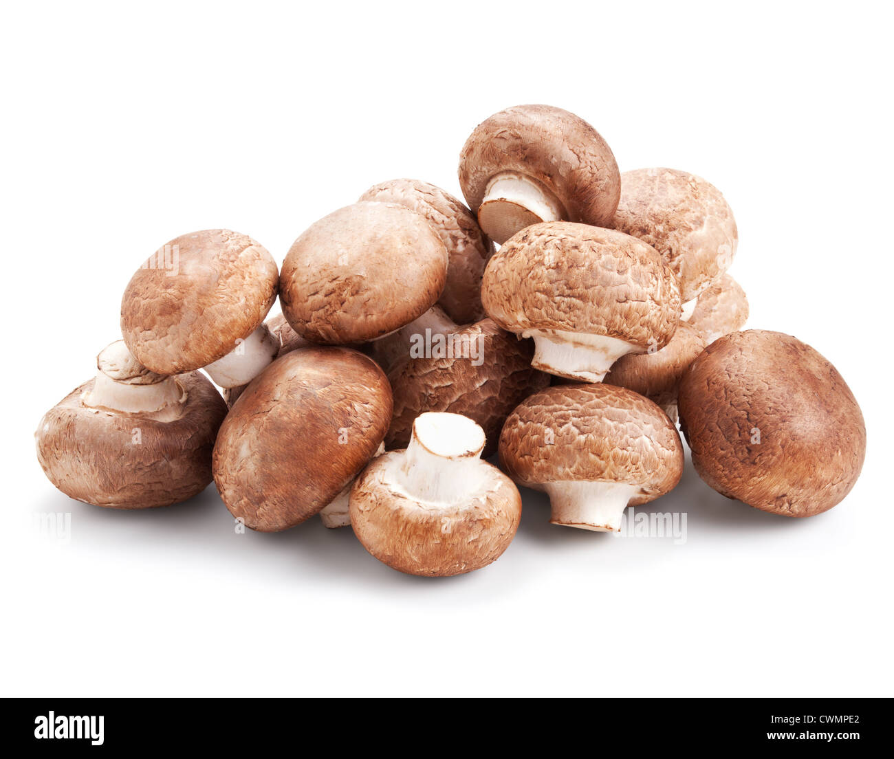 Funghi freschi champignon isolati su sfondo bianco Foto Stock