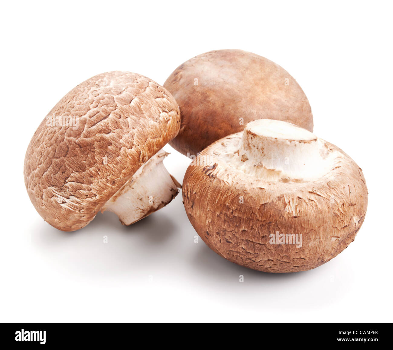 Funghi freschi champignon isolati su sfondo bianco Foto Stock