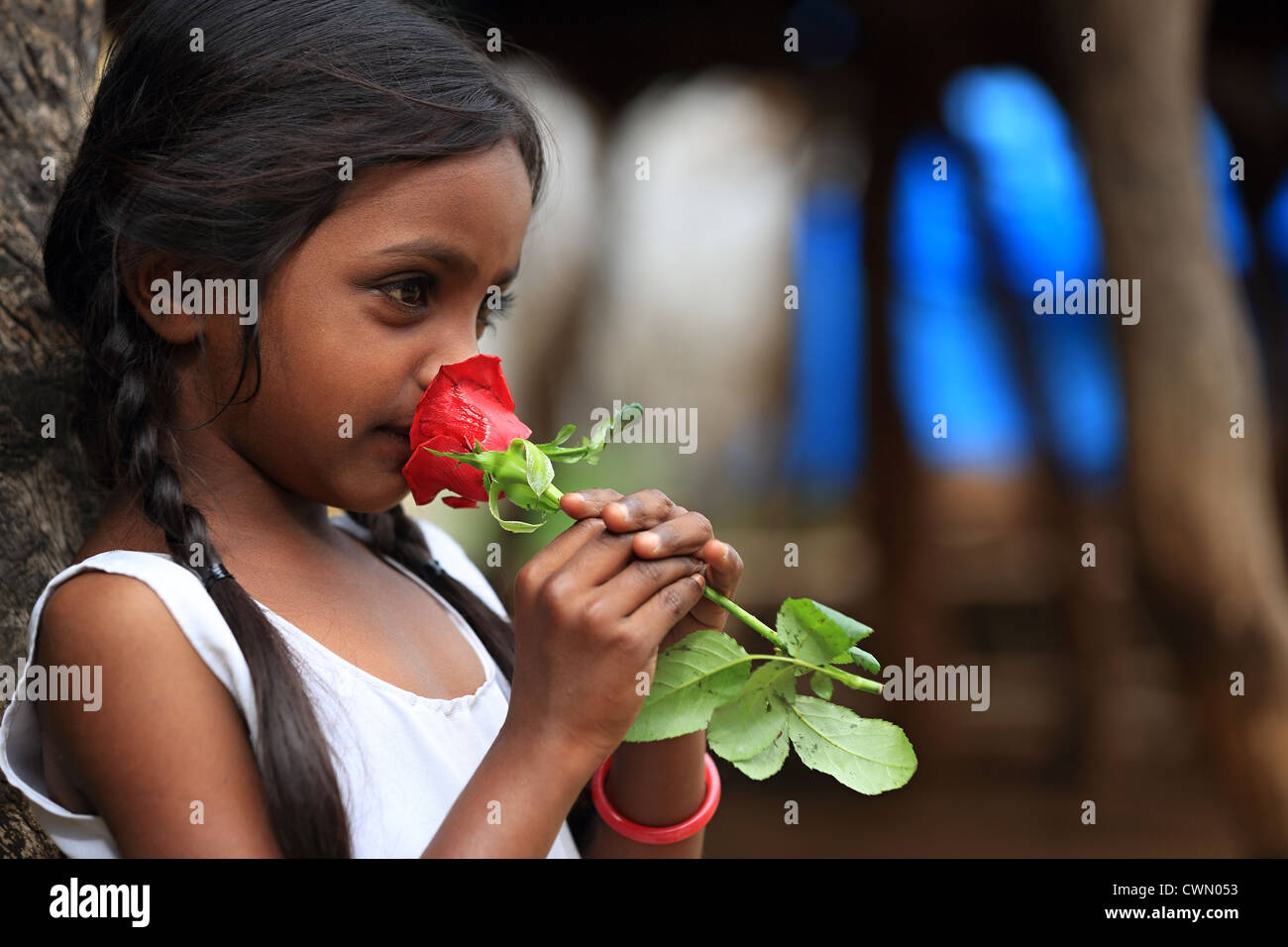 Giovani indiani ragazza rurali tenendo una rosa di Andhra Pradesh in India del Sud Foto Stock