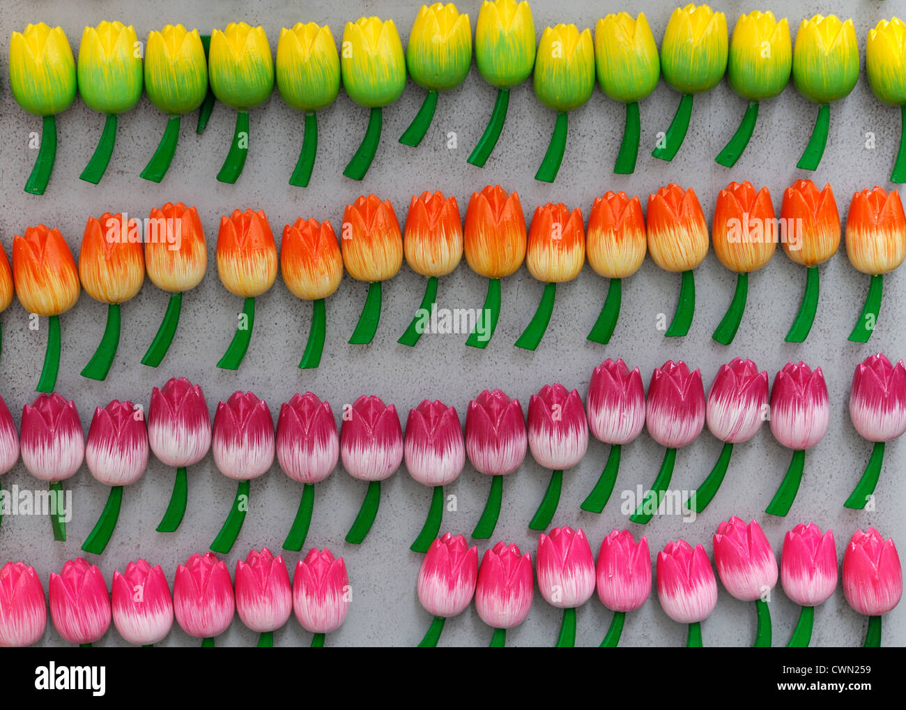 Tulip fiore fiori blumi blossoms frigo magneti magnete souvenir amsterdam holiday gingillo giallo arancione floreale rosa Foto Stock